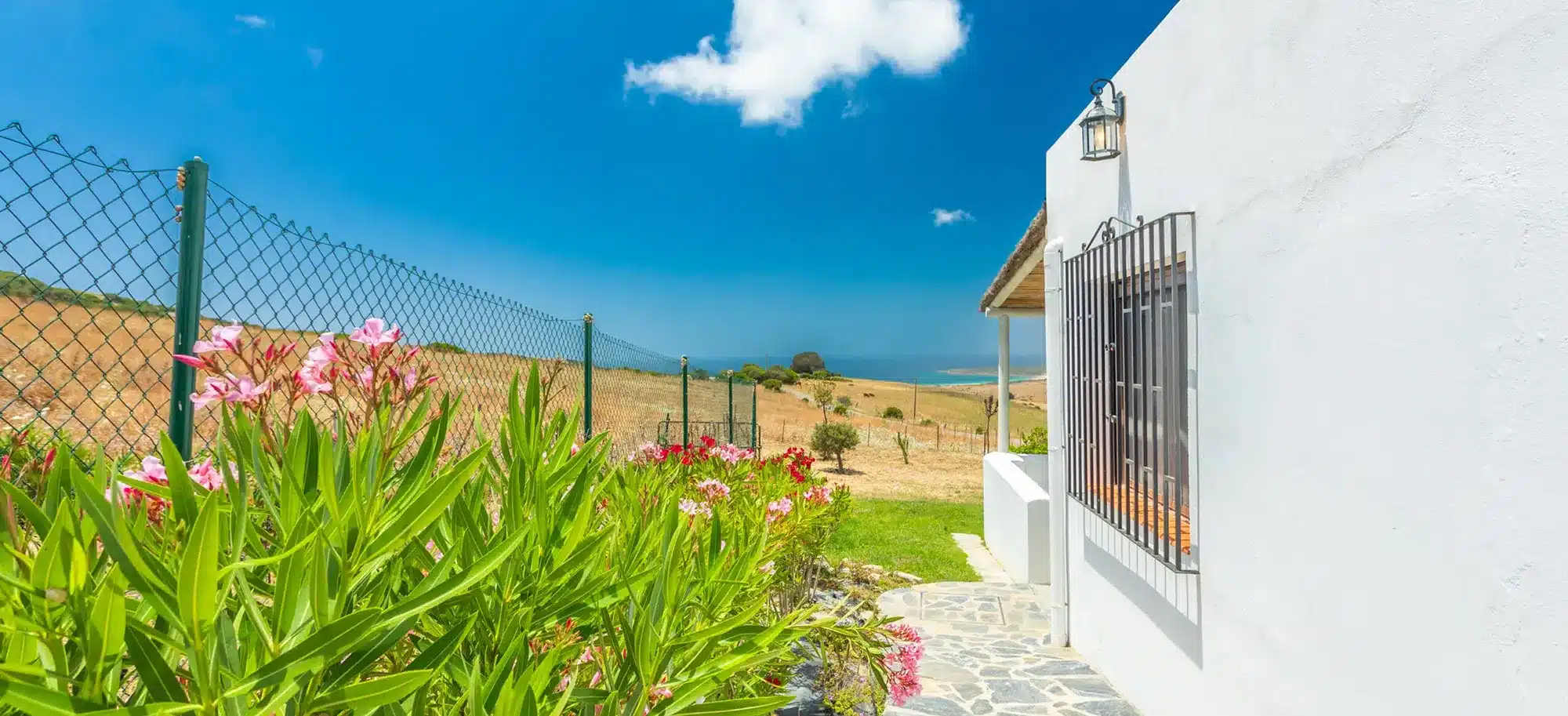 Tarifa en estado puro